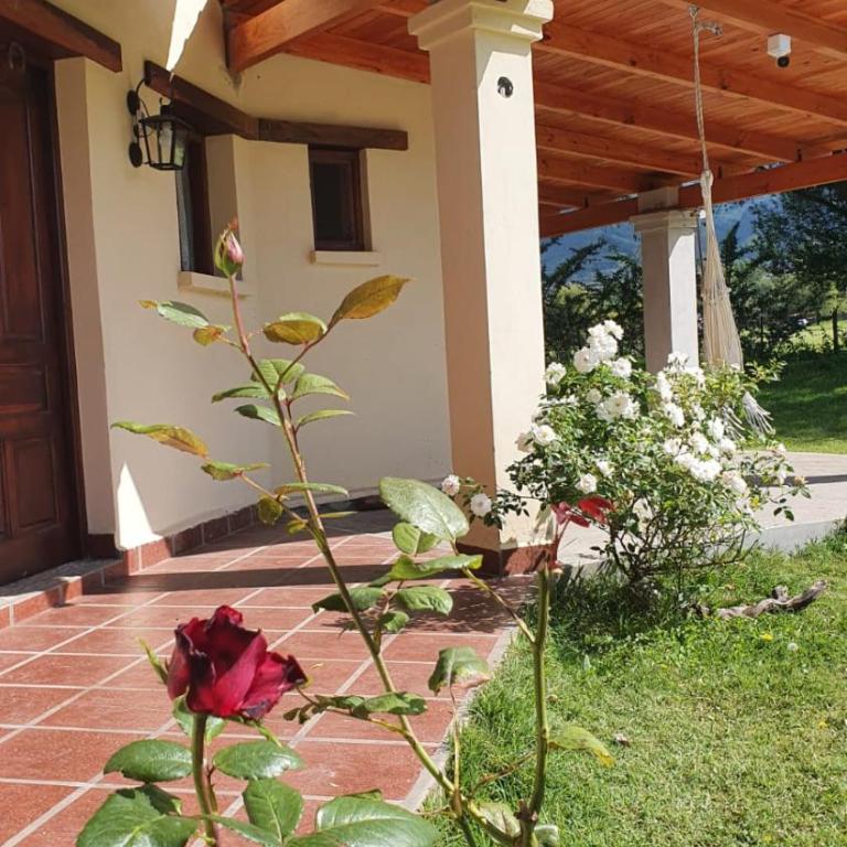 Viditay Munay T'ika - Two-Bedroom Apartment - 4