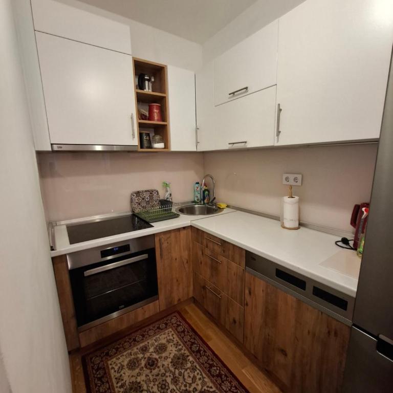 Apartman Izvor - Apartman sa 1 Spavaćom Sobom - 4