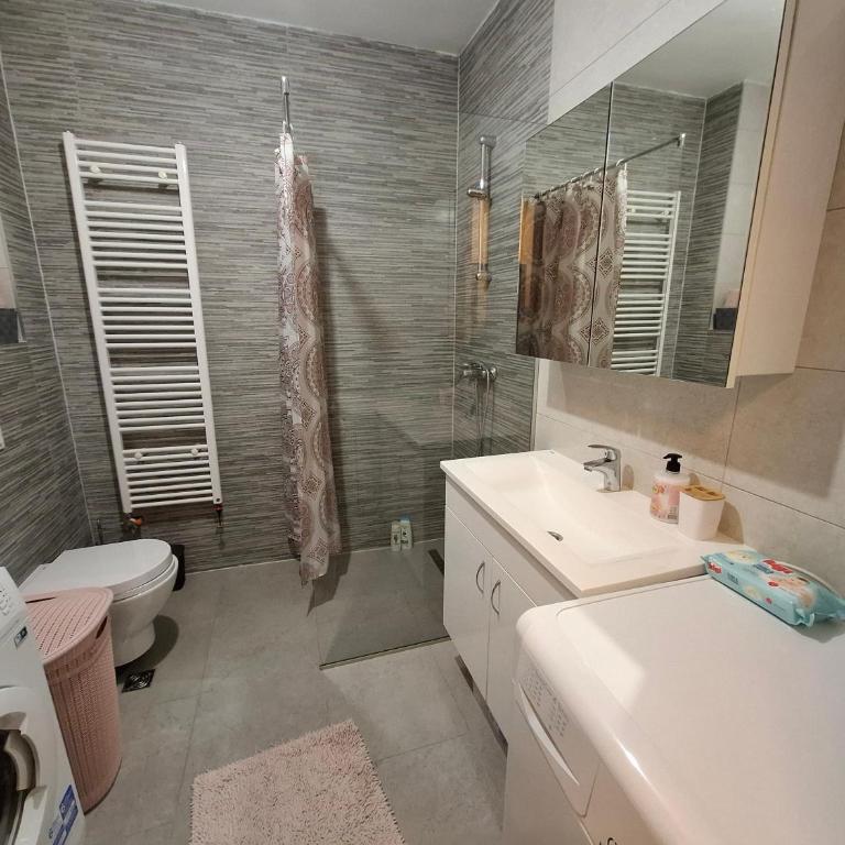 Apartman Izvor - Apartman sa 1 Spavaćom Sobom - 7