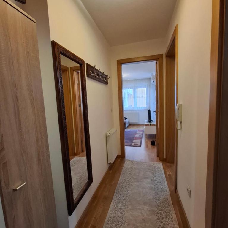 Apartman Izvor - Apartman sa 1 Spavaćom Sobom - 8