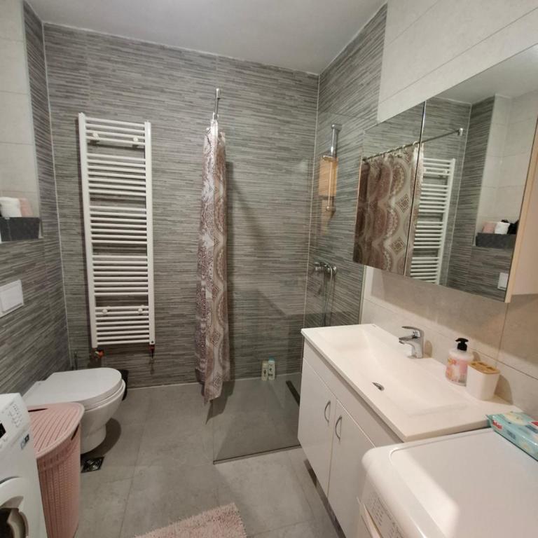 Apartman Izvor - Apartman sa 1 Spavaćom Sobom - 10