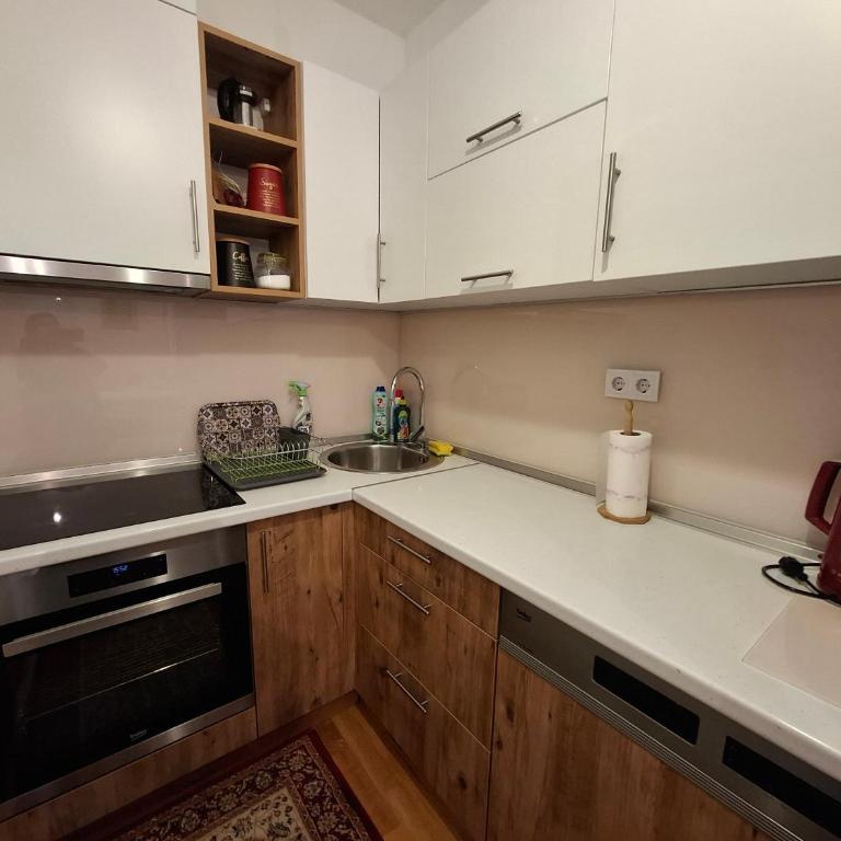 Apartman Izvor - Apartman sa 1 Spavaćom Sobom - 15