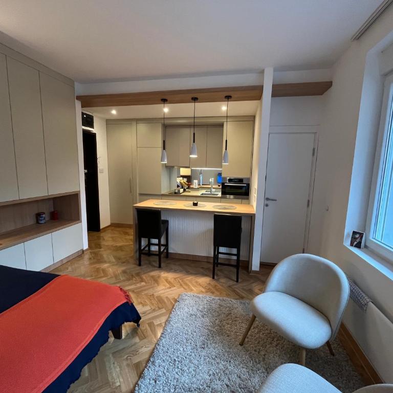 Skadarlija Urban Nest - One-Bedroom Apartment - 11