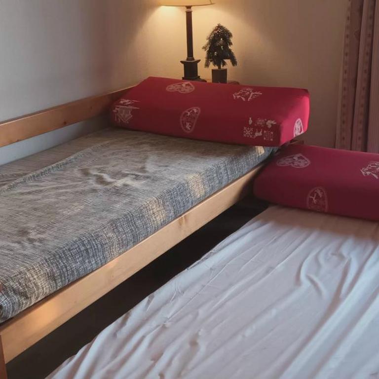 Vue panoramique - Confortable - Piscine - Randonnées - Skis - Appartement 1 Chambre - 10
