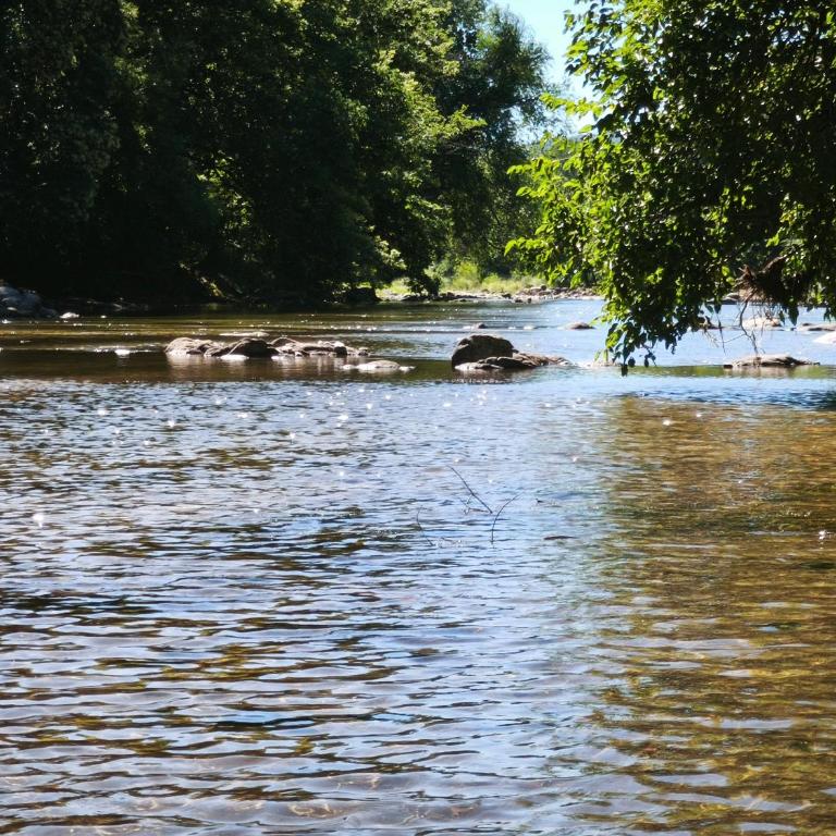 Sonidos del Rio Aparts - Apartamento de 2 dormitorios - 8