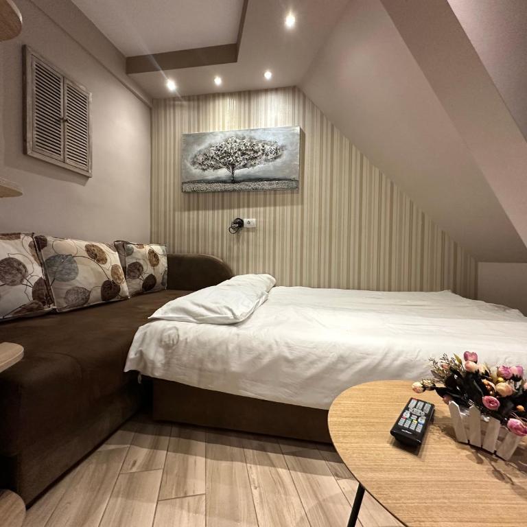 Apartments Konaci Kopaonik - Studio with Mountain View - 1