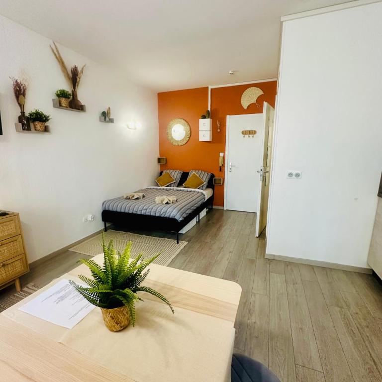 Studio, gare, Petite France, hypercentre - Estudio - 4