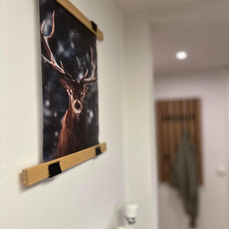 Deine Bergzeit - fewo-badhindelang - Apartment mit Bad - 8