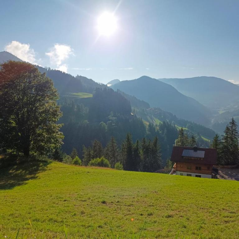 Chalet Leni - Apartment mit Aussicht und Balkon - 13