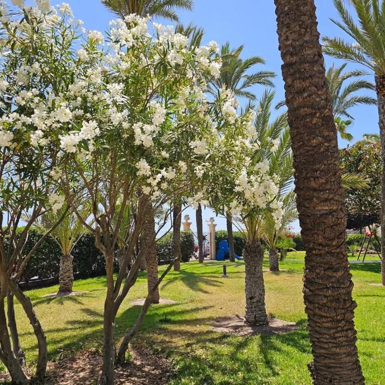 El Palmeral playa de los locos - Three-Bedroom Apartment - 3
