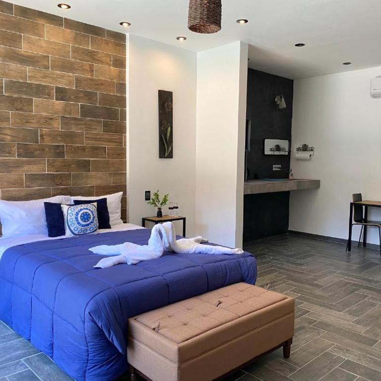 Antía Valle de Guadalupe - Apartamento de 1 dormitorio - 2