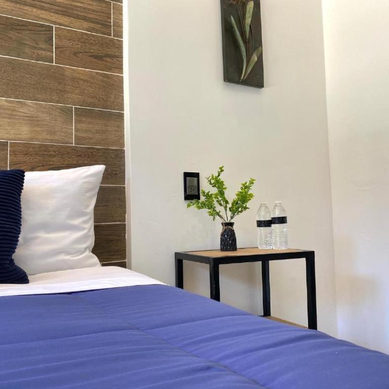 Antía Valle de Guadalupe - Apartamento de 1 dormitorio - 4