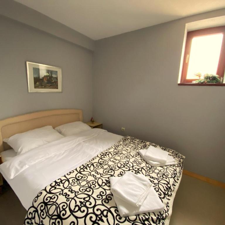 Apartmani Vujanac - Apartman sa 1 Spavaćom Sobom - 3