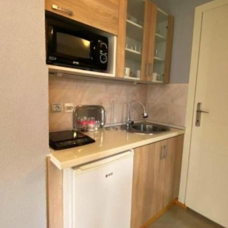 Apartmani Vujanac - Apartman sa 1 Spavaćom Sobom - 4