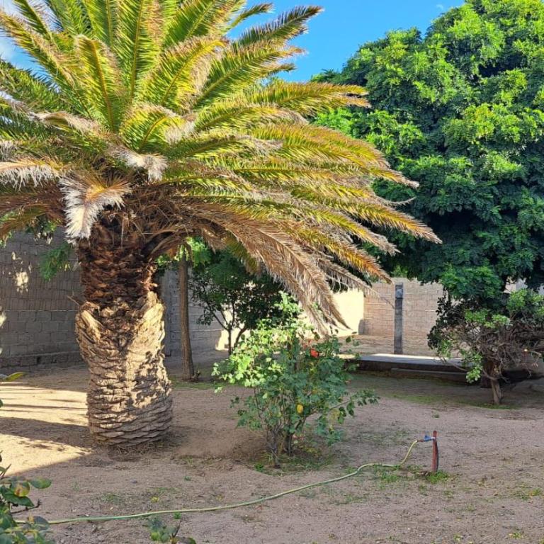 Casa Tierra - Casa con 1 dormitorio - 7