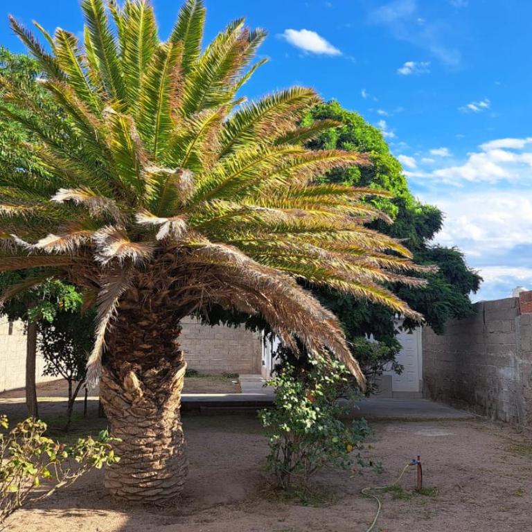 Casa Tierra - Casa con 1 dormitorio - 6