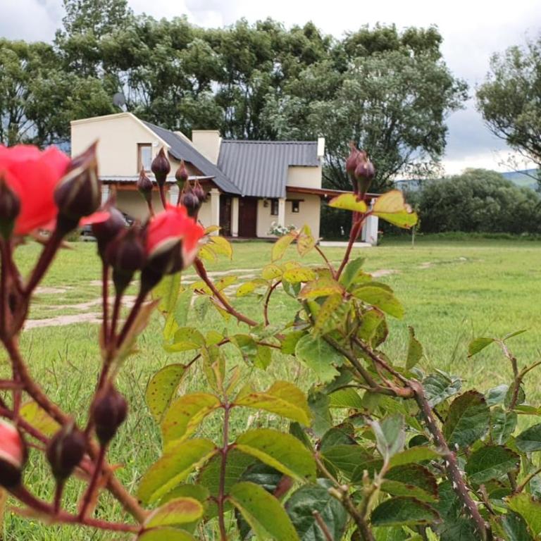 Cabañas Viditay - Chalet de 2 dormitorios - 3