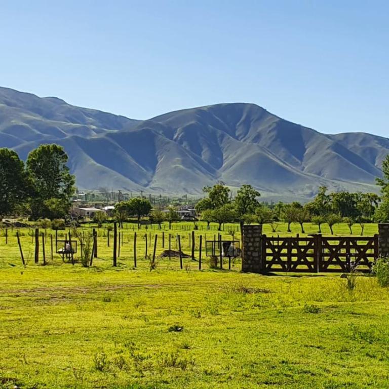 Cabañas Viditay - Chalet de 2 dormitorios - 2