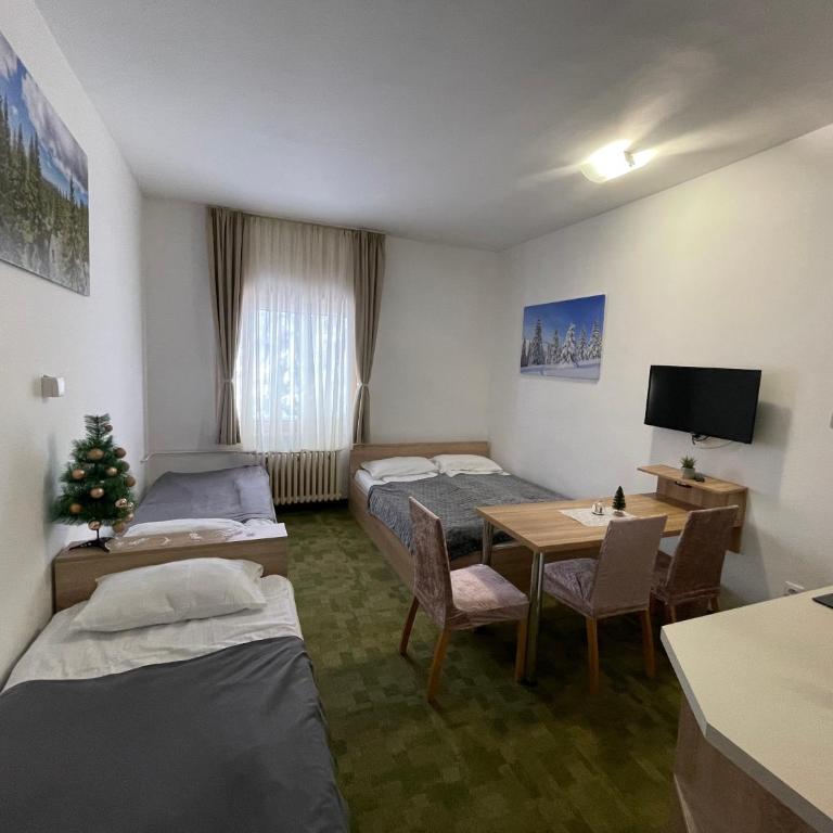 Apartments Konaci Kopaonik - Studio with Mountain View - 3