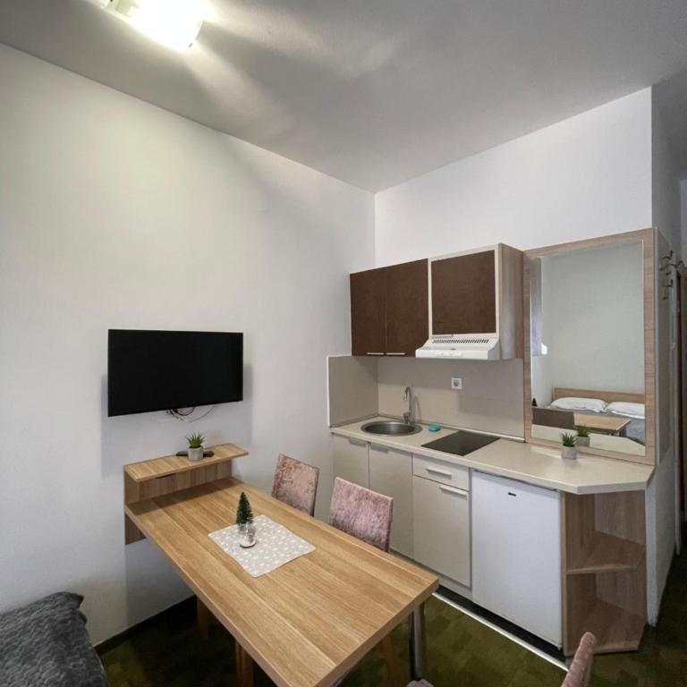 Apartments Konaci Kopaonik - Studio with Mountain View - 2