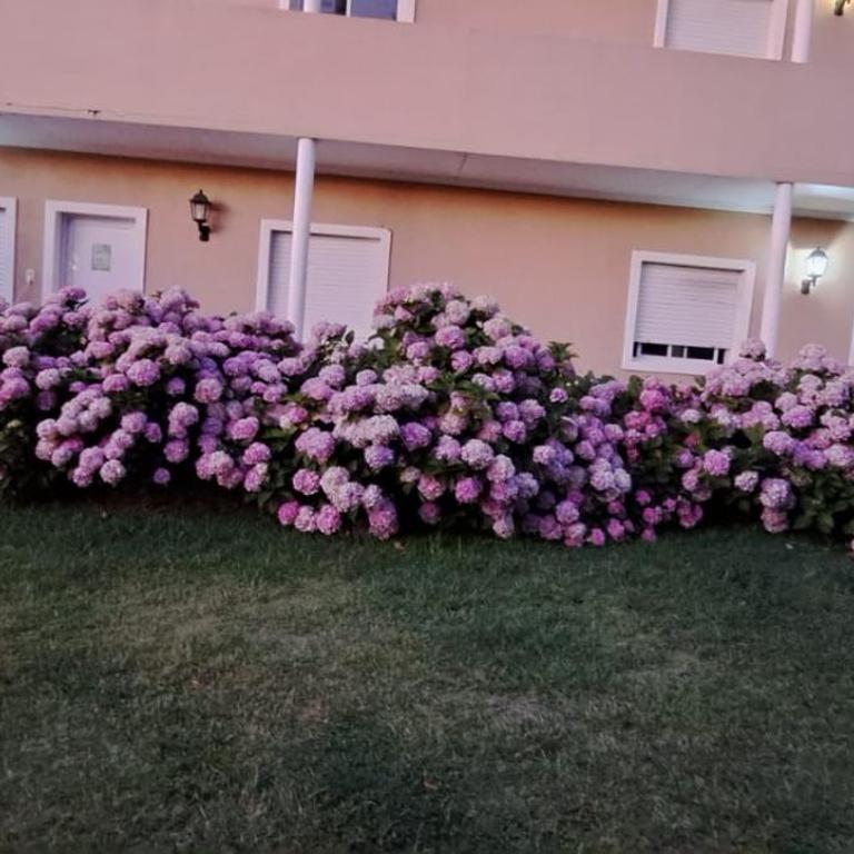 Complejo Arenas - Apartamento de 1 dormitorio - 21