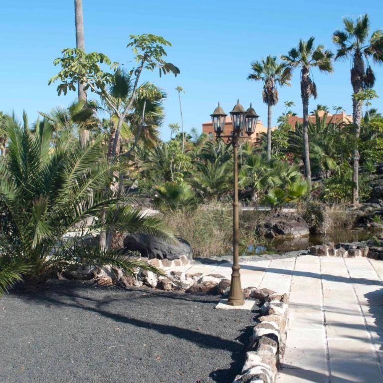 Relax in this Stunning 1-Bedroom Apartment in Corralejo - Apartment - 5