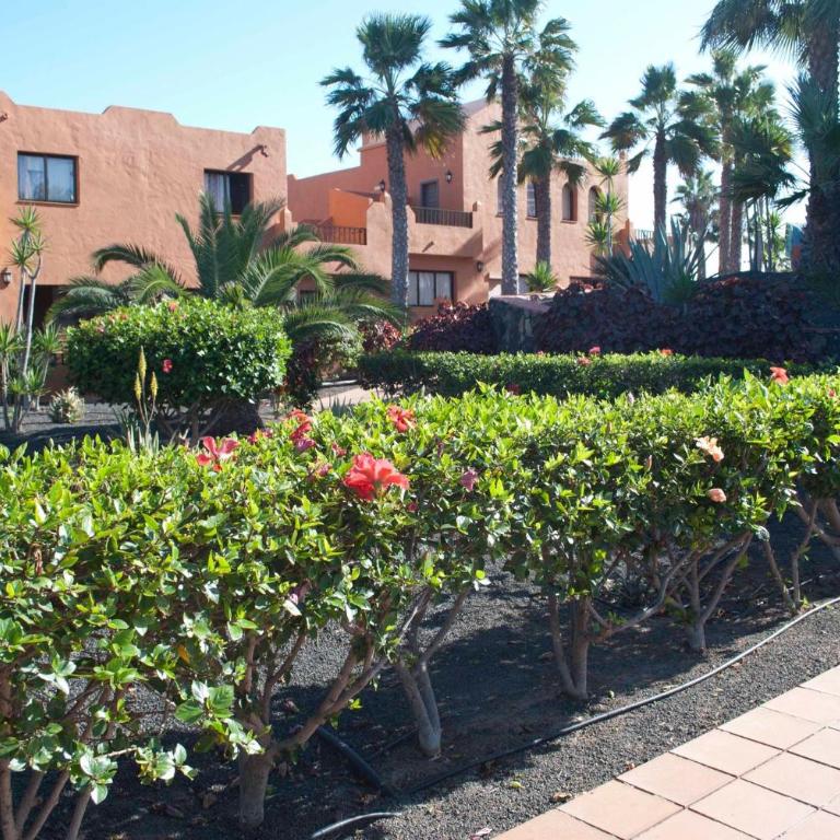 Relax in this Stunning 1-Bedroom Apartment in Corralejo - Apartment - 12
