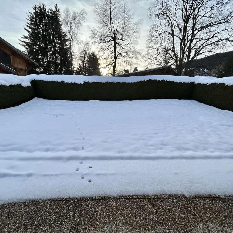Charmant appartement 3 pièces, jardin, parking et wifi à Demi-Quartier - FR-1-597-187 - Appartement - 13