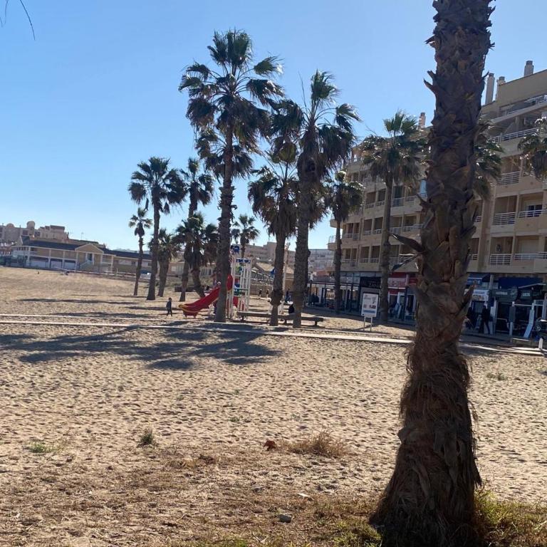 Apartment to 100m of the beach - Apartamento - 17