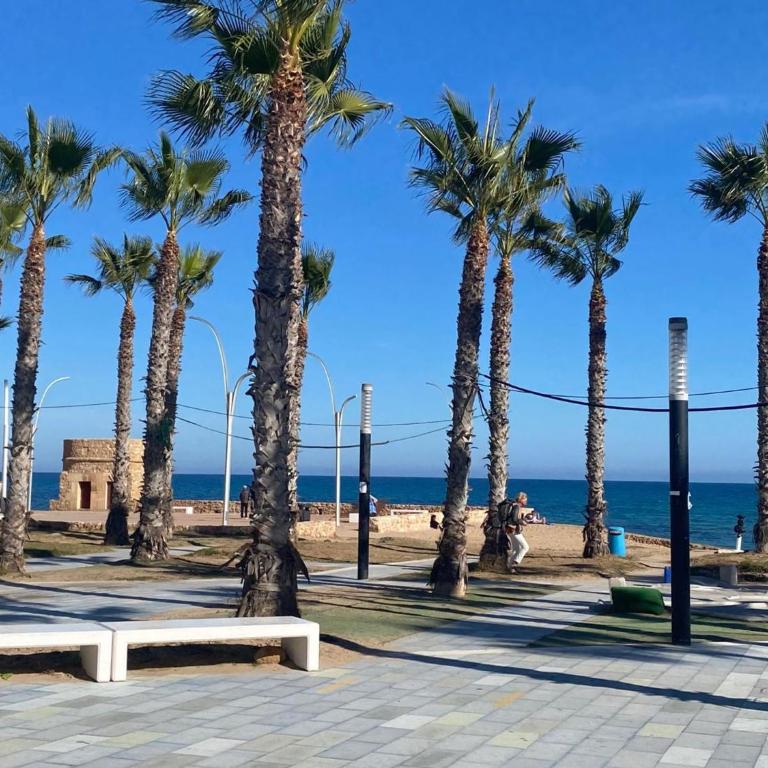 Apartment to 100m of the beach - Apartamento - 21