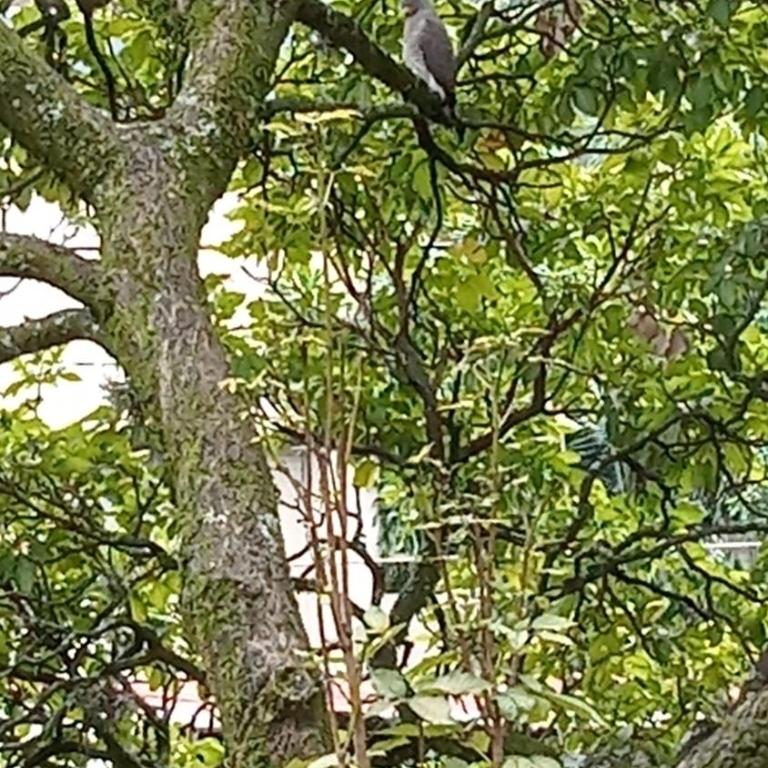 Medellin - Apartamento de 1 dormitorio - 11