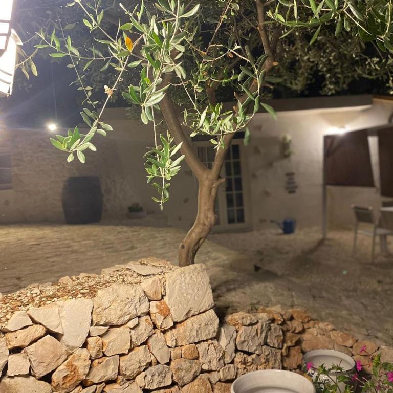 Trullo Dell orto Ostuni - Casa Vacanze - 38