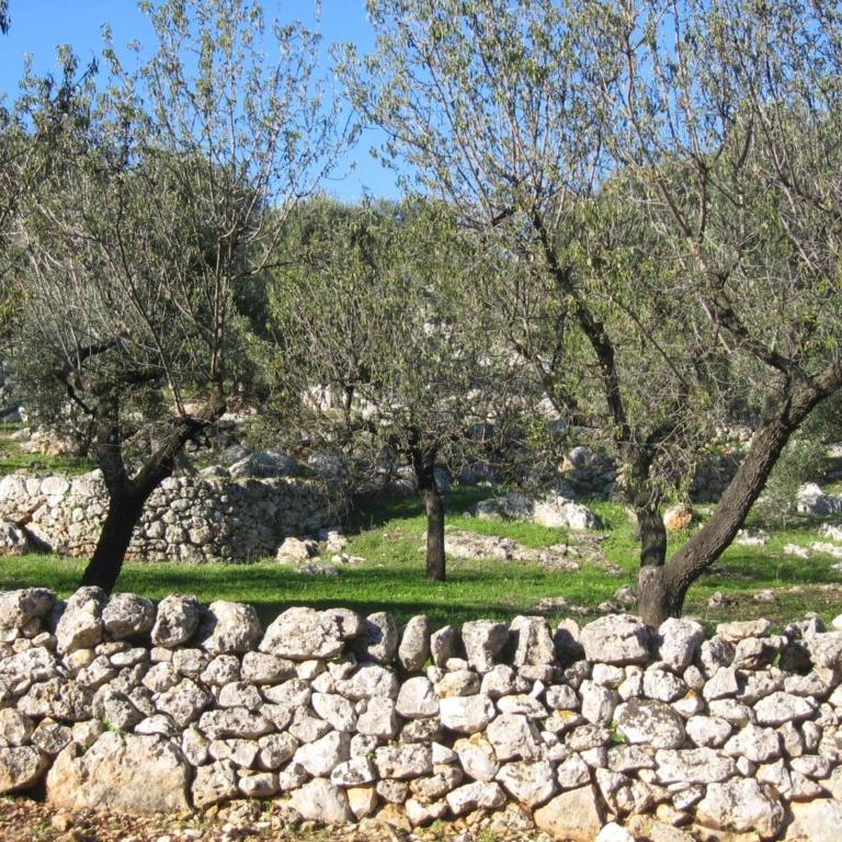 Trullo Dell orto Ostuni - Casa Vacanze - 44