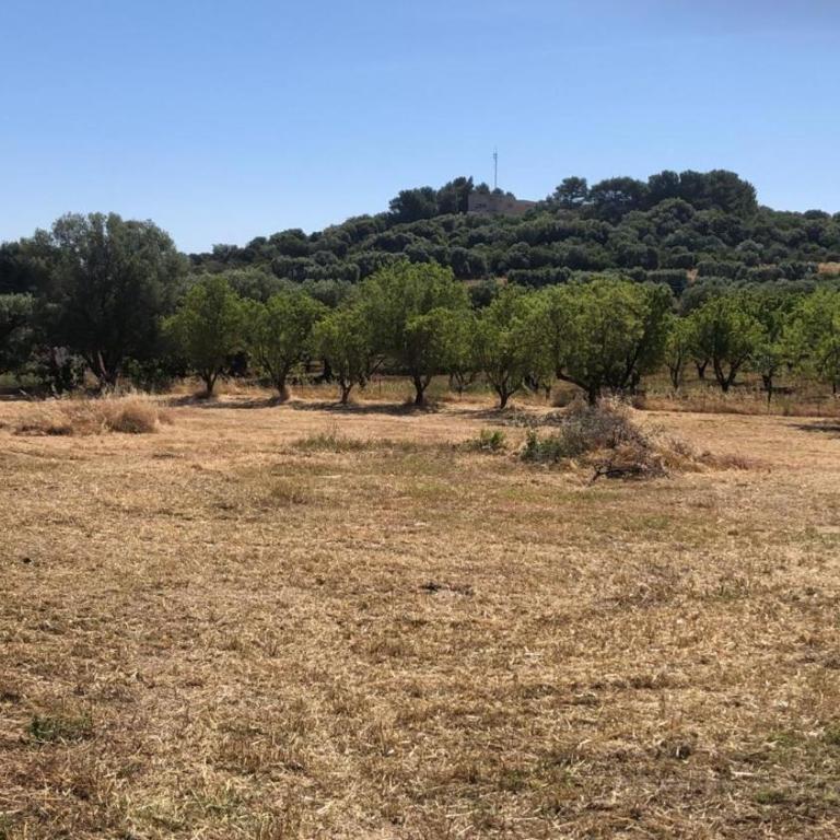 Trullo Dell orto Ostuni - Casa Vacanze - 52