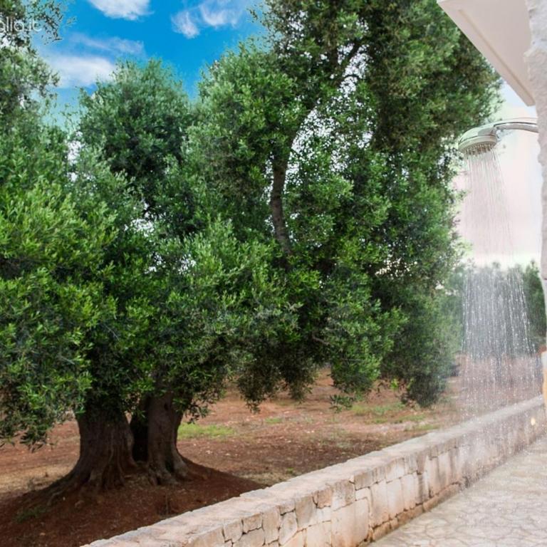 Trullo Dell orto Ostuni - Casa Vacanze - 51