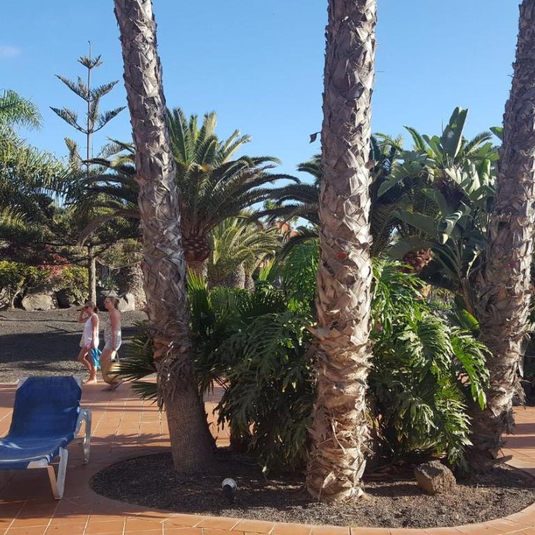 Oasis Royal 2 Dormitorios 3 Piscinas-fibra ptica - Apartamento - 6