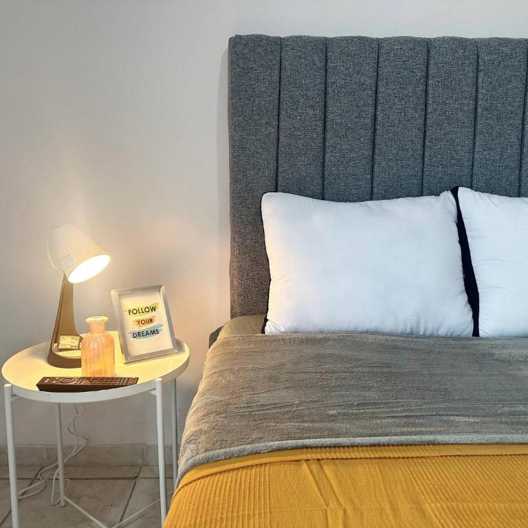 Santa Teres Apartment Near Chapultepec area - Apartment - 12