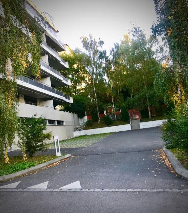 179 Comfortable sunny quiet good location and free parking included - Apartment - 16