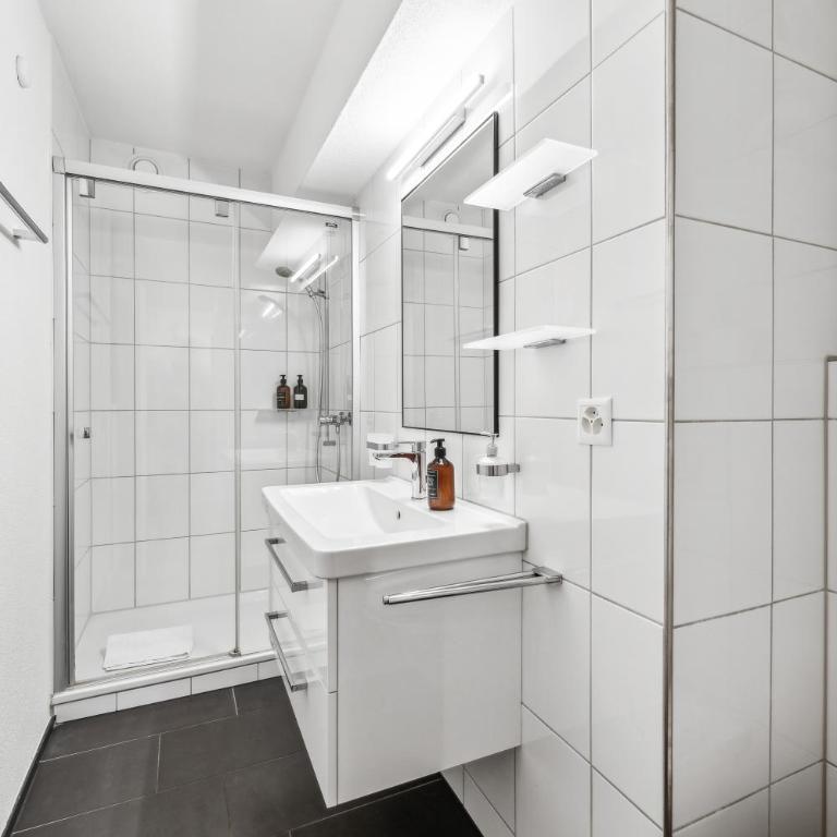 Cosy flat close drive to mount Pilatus - Apartment mit 2 Schlafzimmern - 7