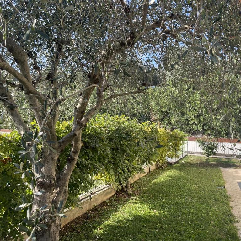 Villa Gardoncino - Villa - 98