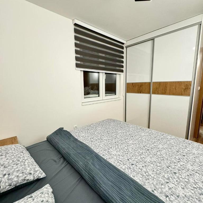 Hillbilly 6 - One-Bedroom Apartment - 5