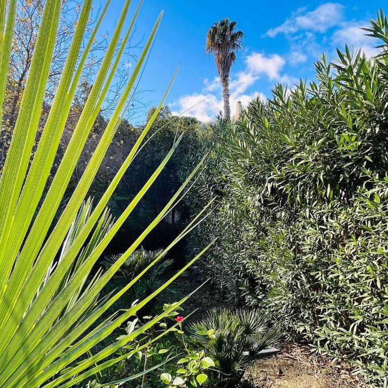 Villa Varo by Sicily Travelling Villas - Villa mit 2 Schlafzimmern - 15