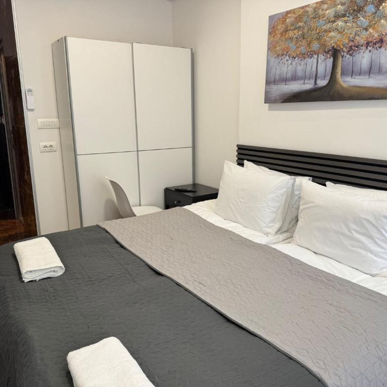 Hanna City Center - Dvokrevetna Soba sa Bračnim Krevetom/Zasebnim Krevetima - 20