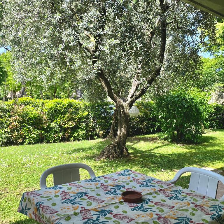 Jolly Apartments - Appartamento con 2 Camere da Letto - 17