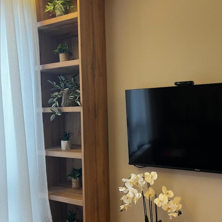 Šumska staza Divčibare apartmani - Apartman sa 1 Spavaćom Sobom - 12