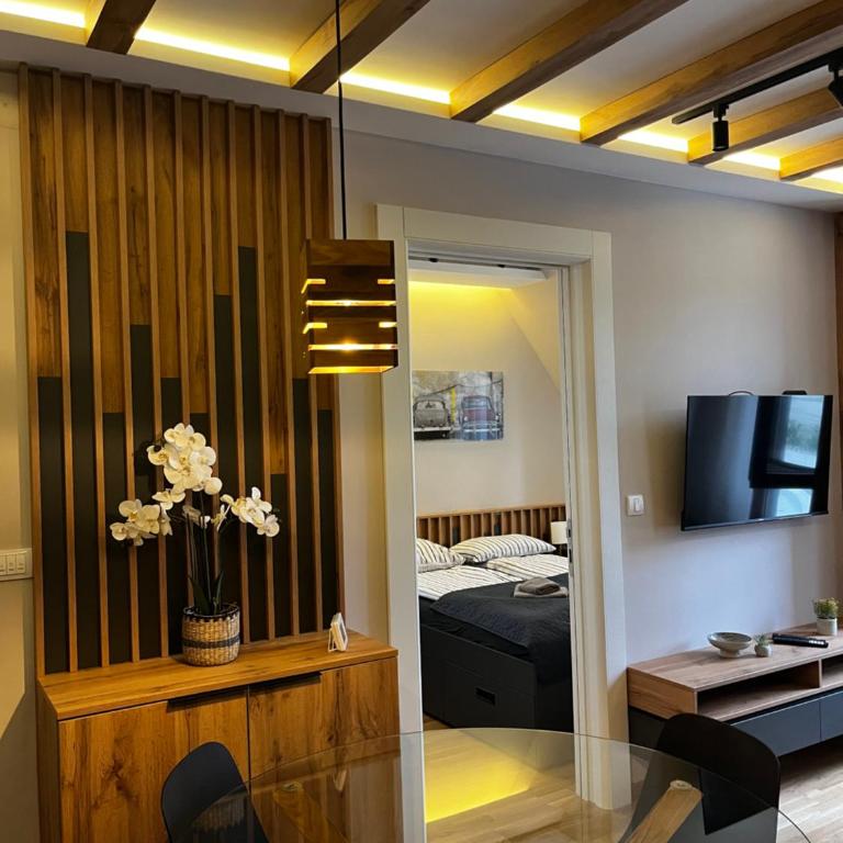 Šumska staza Divčibare apartmani - Apartman sa 1 Spavaćom Sobom - 10