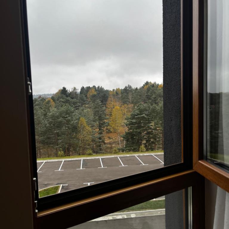 Šumska staza Divčibare apartmani - Apartman sa 1 Spavaćom Sobom - 26