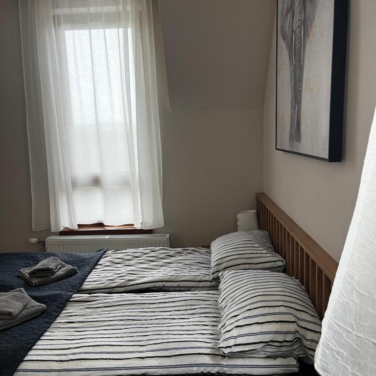 Šumska staza Divčibare apartmani - Apartman sa 1 Spavaćom Sobom - 13