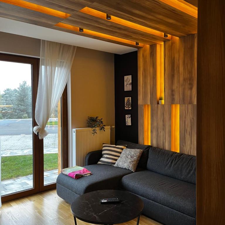 Šumska staza Divčibare apartmani - Apartman sa 1 Spavaćom Sobom - 16