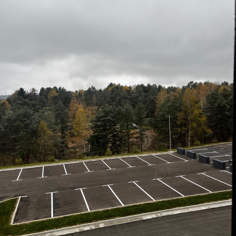Šumska staza Divčibare apartmani - Apartman sa 1 Spavaćom Sobom - 30